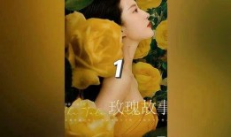 玫瑰故事爆料大全最新,揭秘浪漫传奇背后的秘密与真相