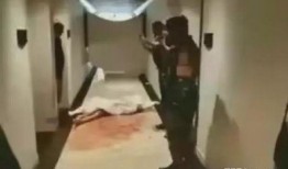 巴厘岛被害事件爆料视频,惊心动魄的真相揭秘